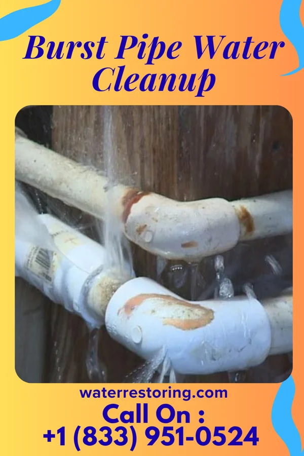 Burst Pipe Water Cleanup in Ernest, PA