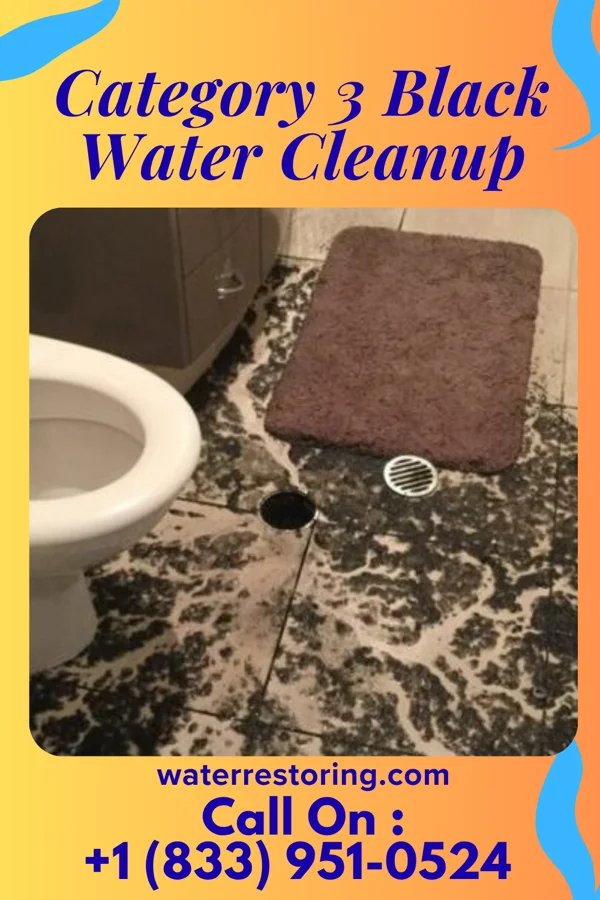 Category 3 Black Water Cleanup in Ernest, PA