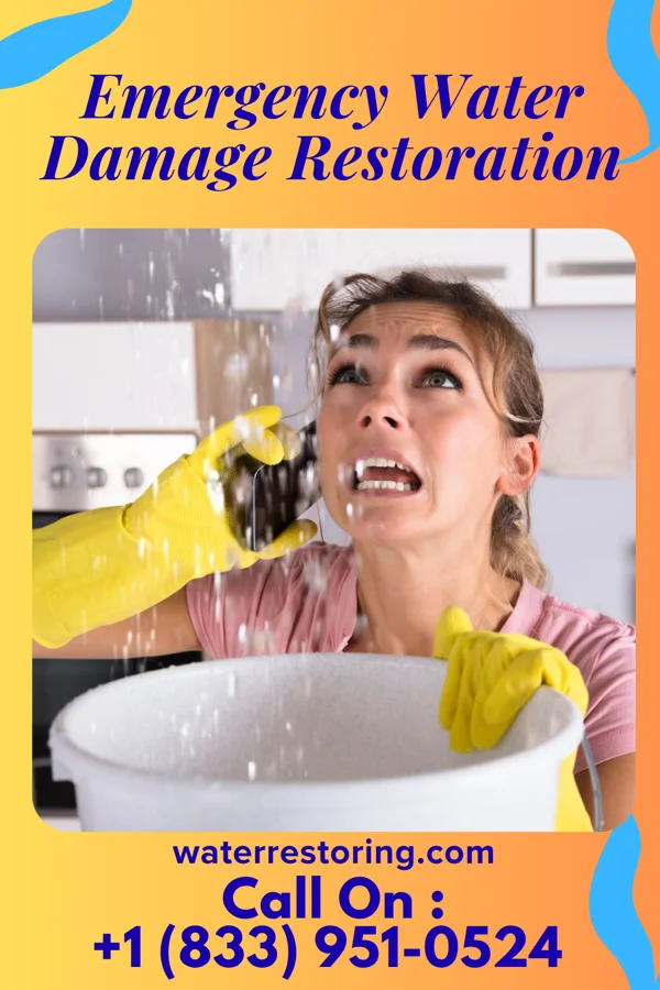 Emergency Water Damage Restoration in Ernest, PA