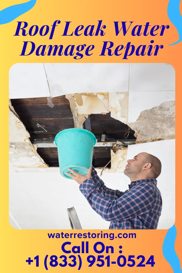 Roof Leak Water Damage Repair in Ernest, PA