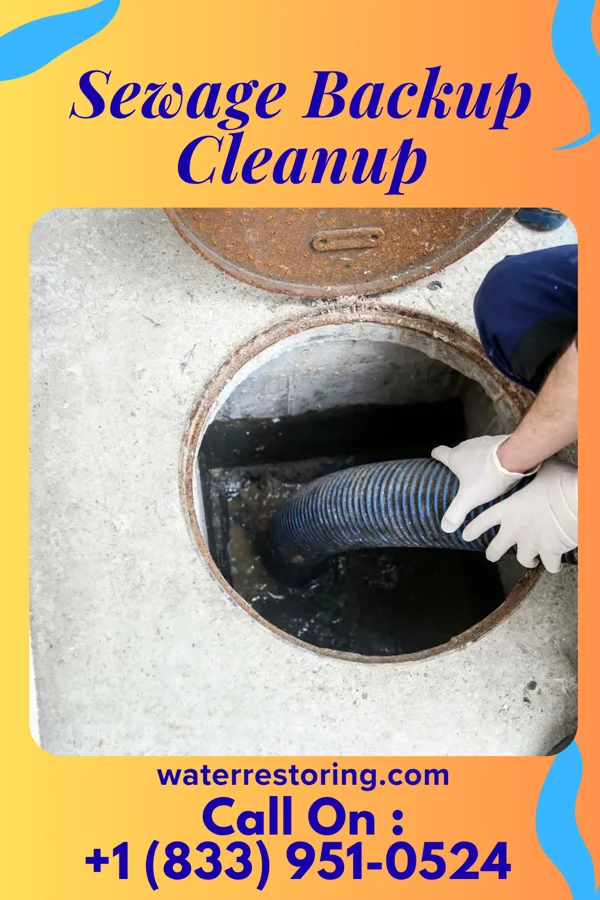 Sewage Backup Cleanup in Ernest, PA