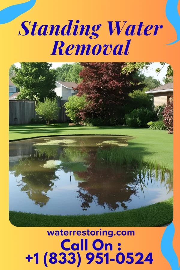 Standing Water Removal in Ernest, PA